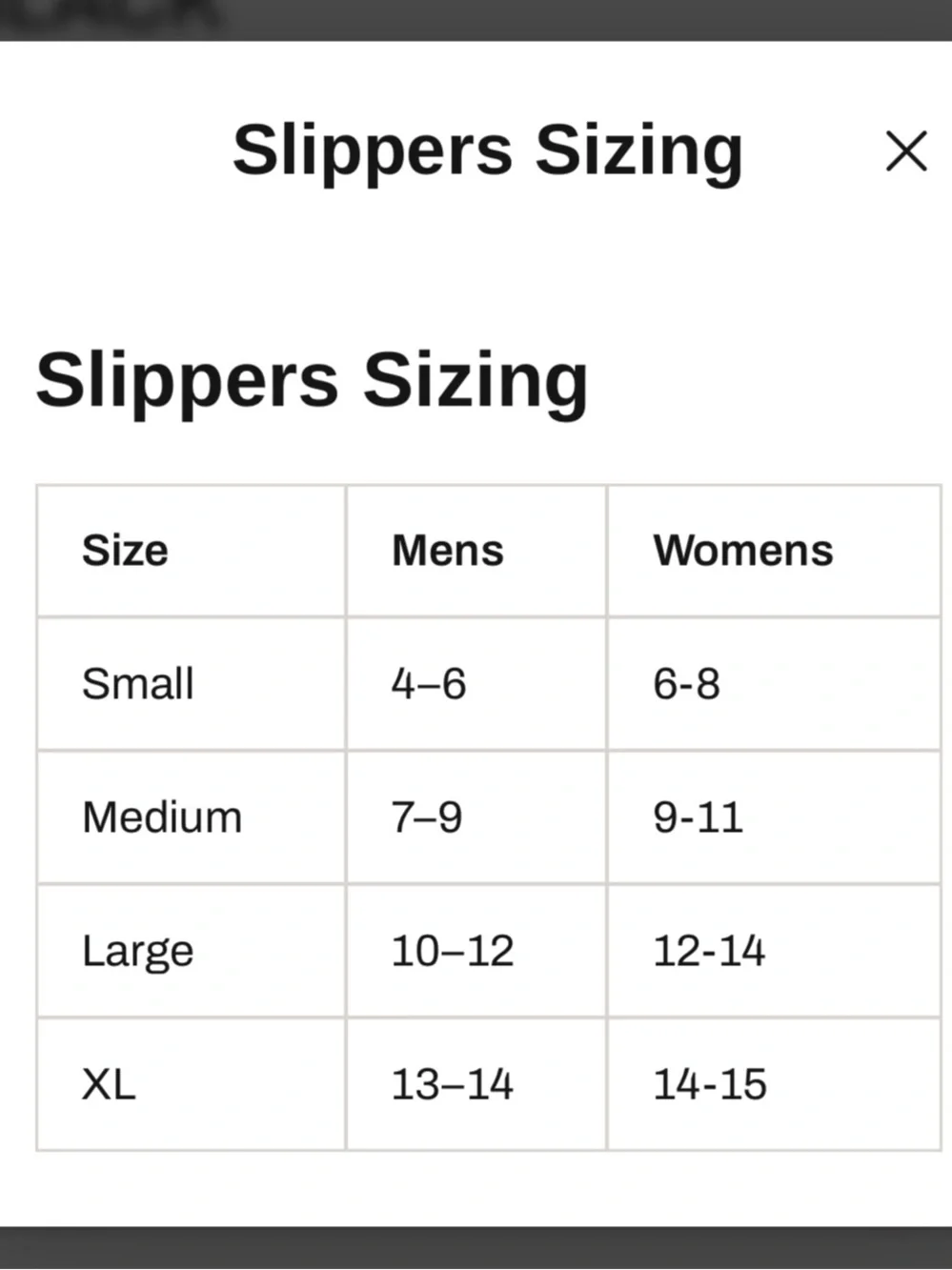 Holden puffy slipper
